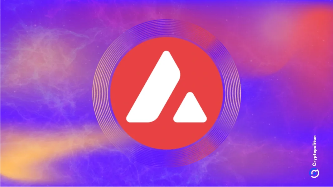 Avalanche builds blockchains for real-world use