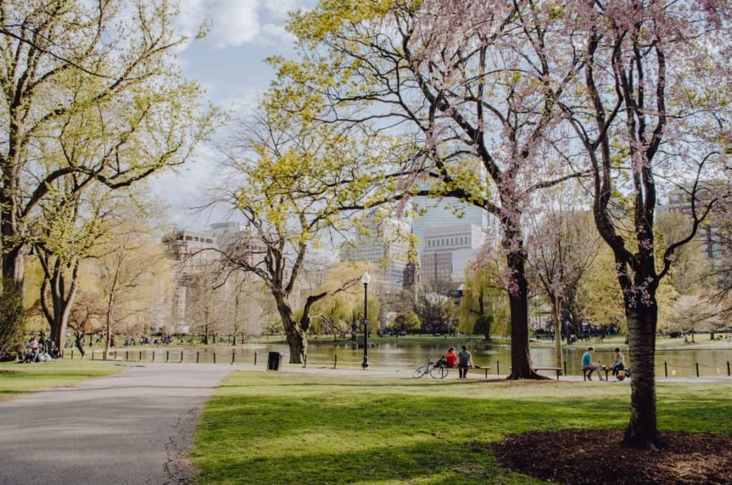 Top 9 Reasons to Move to Boston and Why You’ll Love It