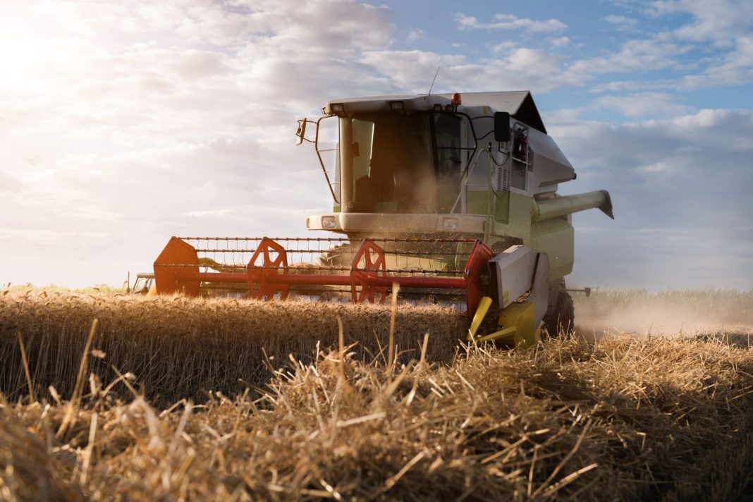 Wheat Fades Early Gains as Black Sea Tensions Shift
