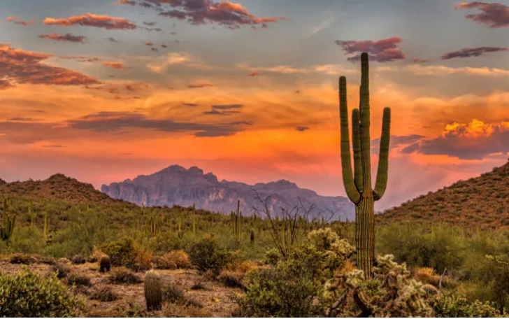 Arizona Senator Pushes Bill To Make Crypto Legal Form Of Currency