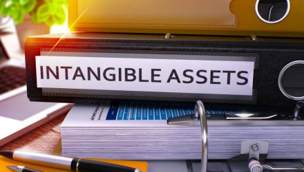An Investor’s Guide to Intangible Assets